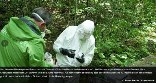 Greenpeace Messungen in Fukushima 2015