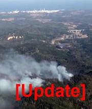 Waldbrand. Im Hintergrund: AKW Fukushima.